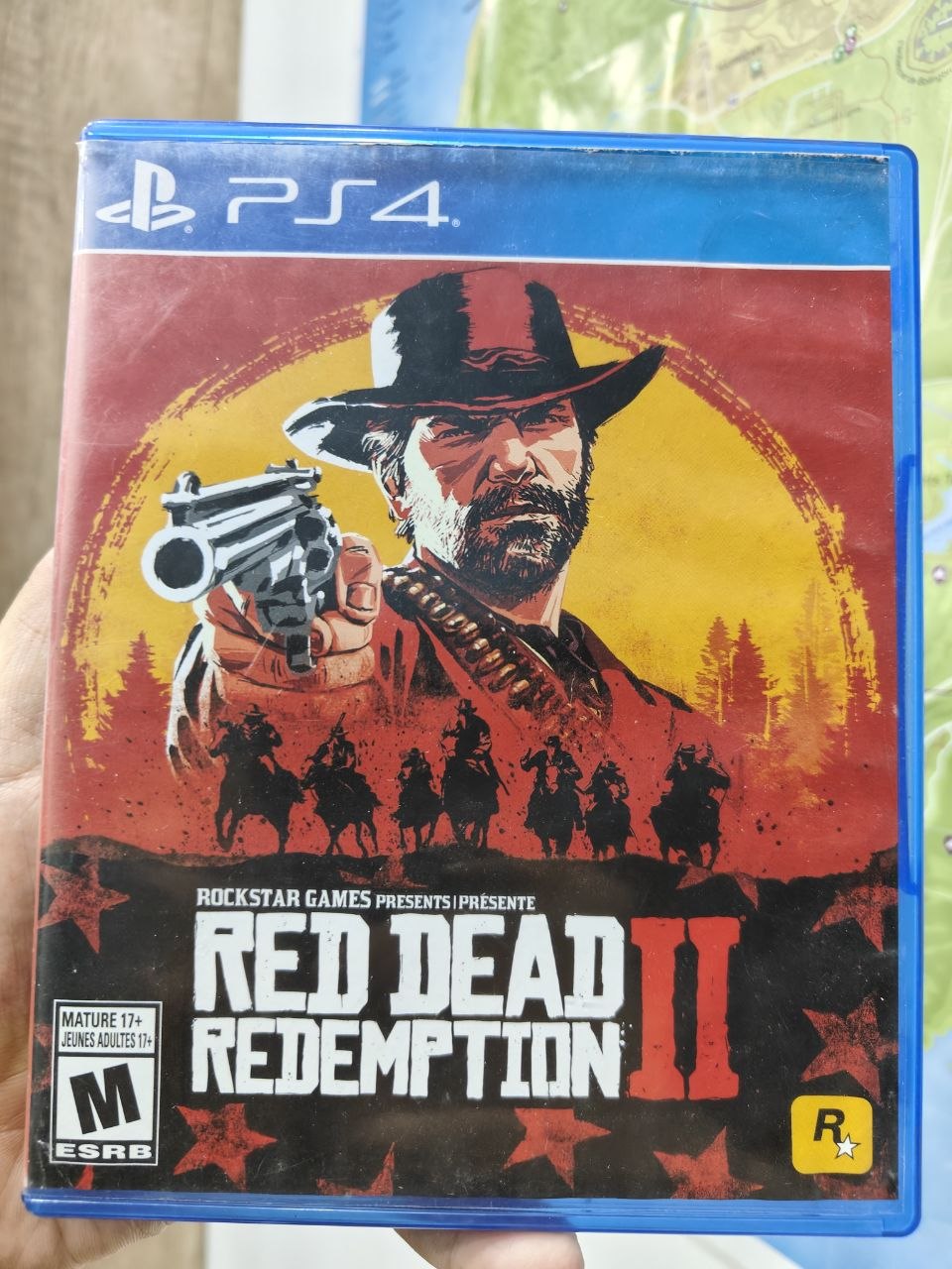 cd_Red Dead Redemption 2