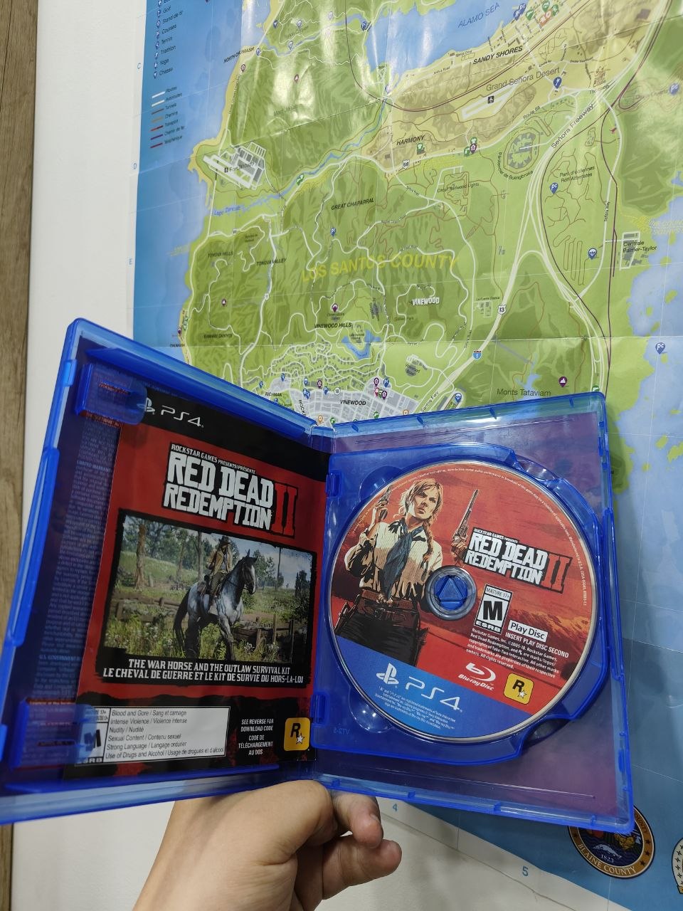 cd_Red Dead Redemption 2